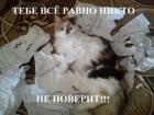 Прикрепленное изображение: Курсовая работа.jpg