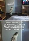 Прикрепленное изображение: На завтра задали.jpg