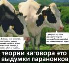 Прикрепленное изображение: post-3247-0-19339600-1608041114 (1).jpg