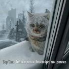 Прикрепленное изображение: Каджитская тоска.jpg