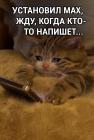 Прикрепленное изображение: Max_хуякс.jpg