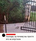 Прикрепленное изображение: gost_38853.jpg