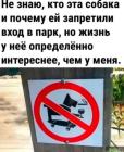Прикрепленное изображение: IMG_20250809_182511_690.jpg