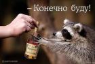 Прикрепленное изображение: 1.jpg