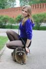 Прикрепленное изображение: y_97fe1395.jpg