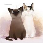 Прикрепленное изображение: SFwkQGcxn5HpTW6HHPs9jcLWUbWIwO5n1dB0G3ugwo461kOai9L64OsLedv0.jpg