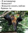 Прикрепленное изображение: Антивампир.jpg