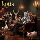 Прикрепленное изображение: k1.jpg