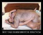 Прикрепленное изображение: image.jpg