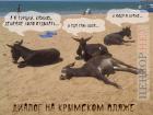 Прикрепленное изображение: IMG_4412.jpeg