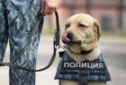 Прикрепленное изображение: c0268fe6512b82af35d3f6bb01c8f073.jpg