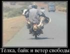 Прикрепленное изображение: image.jpg