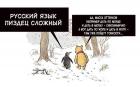 Прикрепленное изображение: IMG-20180922-WA0004.jpg