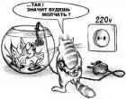 Прикрепленное изображение: image.jpeg