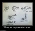 Прикрепленное изображение: Жанры порно наглядно.jpg