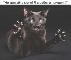 Прикрепленное изображение: Я с работы пришел.jpg