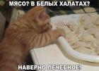 Прикрепленное изображение: Мясо в белых халатах.jpg