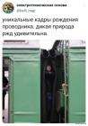 Прикрепленное изображение: 1631261357.jpg