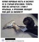 Прикрепленное изображение: 1758349052.jpg