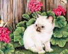 Прикрепленное изображение: CWH02bWTmyI1U-dS6qtMEGPH5s2yHteXftbXyRj3D2XZ.jpg