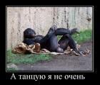 Прикрепленное изображение: x_eab23ef6.jpg
