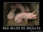 Прикрепленное изображение: dem_0059.jpg