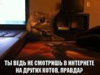 Прикрепленное изображение: 1.jpg