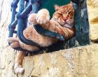 Прикрепленное изображение: IMG-20151009-WA0000.jpg