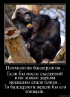 Прикрепленное изображение: 2а4.png