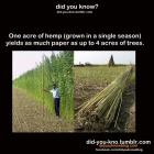 Прикрепленное изображение: Qgehu52miO0.jpg