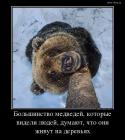 Прикрепленное изображение: 31526(1).jpg
