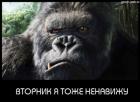 Прикрепленное изображение: C__Data_Users_DefApps_AppData_INTERNETEXPLORER_Temp_Saved Images_390607.jpg