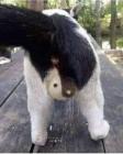 Прикрепленное изображение: image.jpeg