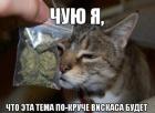 Прикрепленное изображение: 39ndFs_IMj8.jpg