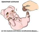 Прикрепленное изображение: image.jpeg