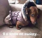 Прикрепленное изображение: 1601547760.jpg