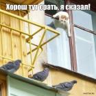 Прикрепленное изображение: 1594801354.jpg