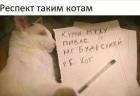 Прикрепленное изображение: 1603435853.jpg