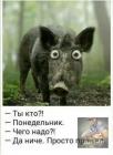 Прикрепленное изображение: IMG_20211004_081049_537.JPG