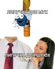 Прикрепленное изображение: IMG_20221018_184106_347.jpg