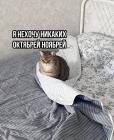 Прикрепленное изображение: Котик не хочет октябрей.jpg