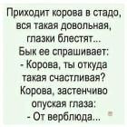 Прикрепленное изображение: nb9LpDZs-HFQwP8V2nGS6Y6PpEpZg7N2XLrb6eMx3Tg1lr_-JRQ4DhsJJo8Kd4PKWUC4j4cdTO9IMb09bW-v535g.jpg