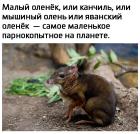 Прикрепленное изображение: W5Wk1IHoiiG8fUmRPJUe_Bdl15cwlqHcFIUGn6ra2fVm5UHWyivHXj5UfcYsLjiZqzgAl_H-SRyBQ2dgZ335yIJm.jpg