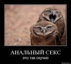Прикрепленное изображение: 002.jpg
