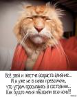 Прикрепленное изображение: IMG-20181109-WA0001.jpg