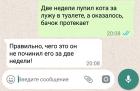 Прикрепленное изображение: 5.jpeg