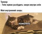Прикрепленное изображение: bNyNp77wcaM.jpg