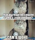 Прикрепленное изображение: ZZfNRbe_4b8.jpg