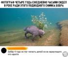 Прикрепленное изображение: 75242318_2332232586881563_4945210960768925696_n.jpg