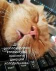 Прикрепленное изображение: 1604072836.jpg
